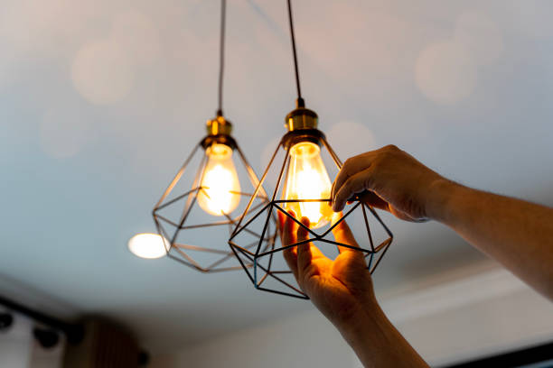 Best Electric Panel Repair  in Snow Hill, MD